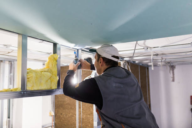 Best Crawl Space Insulation  in South Milwaukee, WI