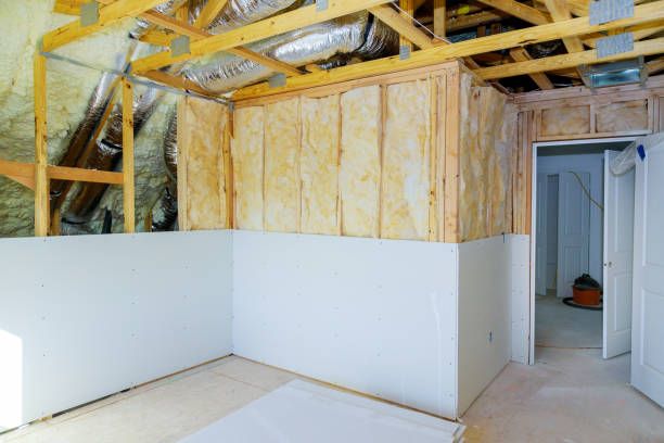 Best Wall Insulation Contractor  in South Milwaukee, WI