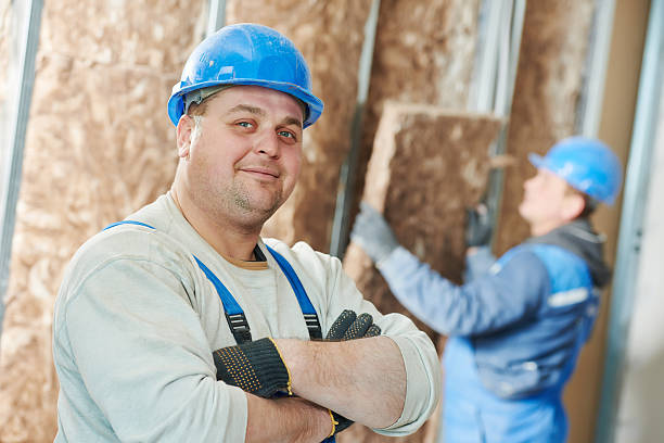 Best Attic Insulation Installation  in South Milwaukee, WI