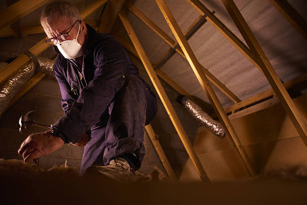 Best Insulation Repair Services  in South Milwaukee, WI